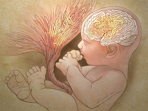 Yale researchers are looking at abnormal folds in placenta.